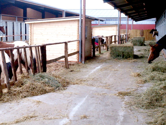 Freifläche und Futtergang zwischen den Ställen
