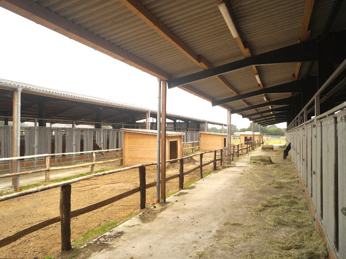 Freifläche zwischen den beiden Ställen